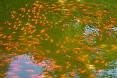 小孩VS桑吉尔夫！《机动战队VS》邀请赛第四日打响！